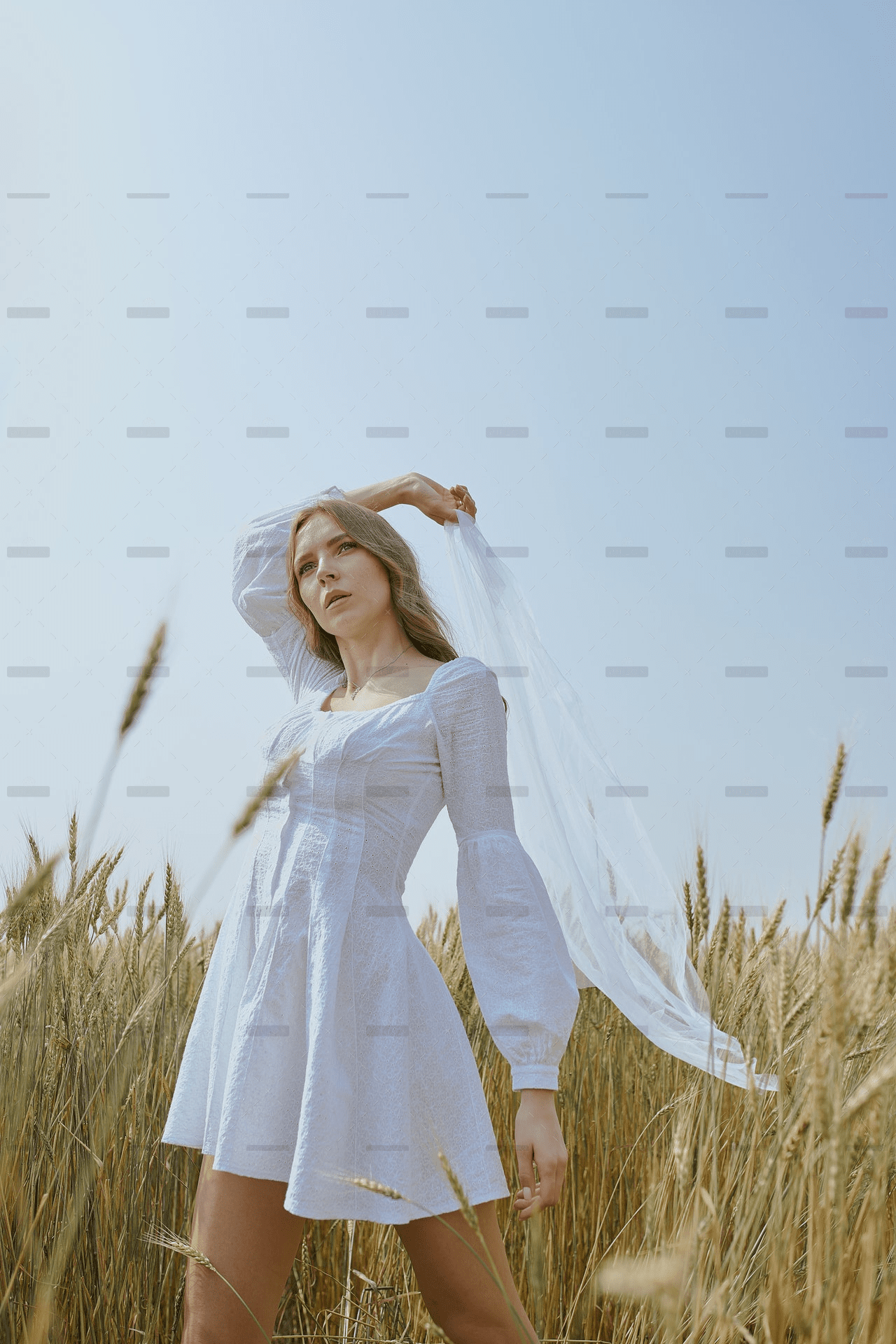 demo-attachment-808-Nature-Shot